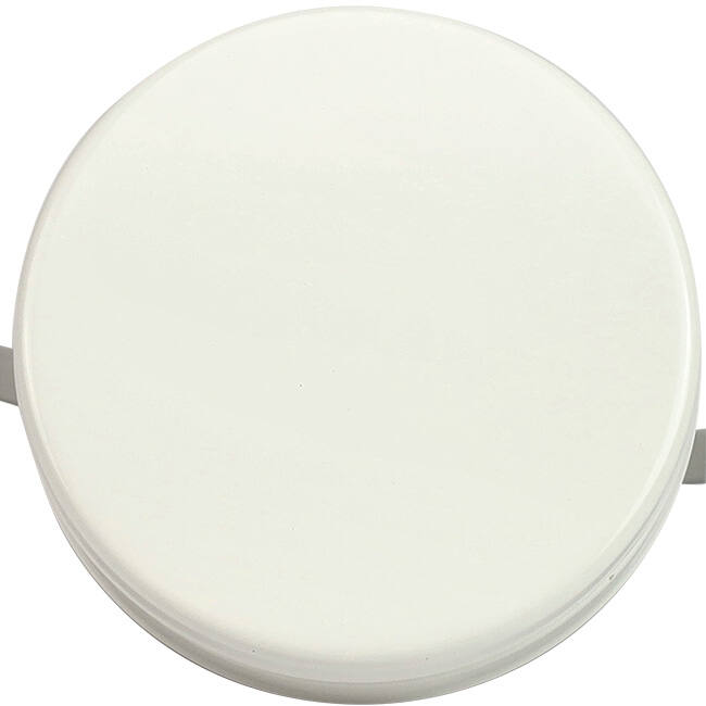 Soupape d'échappement de ventilation 80mm avec ressorts métalliques - SAV-C80 RAL9010