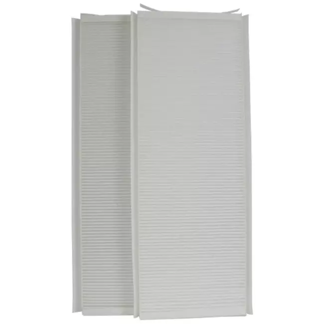 Filterset grossier Buva EcoStream 65% marque maison - 2 pièces