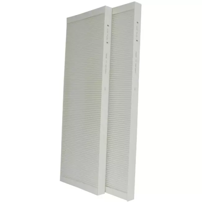 Filterset grossier Buva EcoStream 65% marque maison - 2 pièces